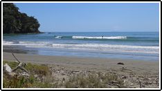 West end Ohope, New Zealands best beach